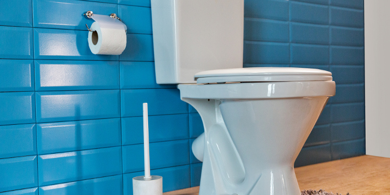 The Value of Hiring a Plumber For Your Toilet Repair Needs