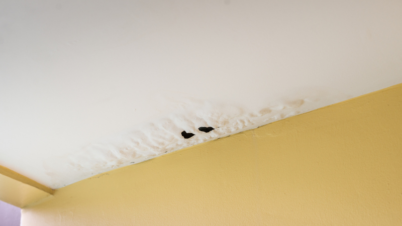 The Terrible Effects of Ignoring Proper Water Damage Restoration