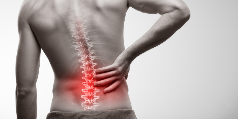 Why You Should Visit a Chiropractor If You Suffer from Back Pain