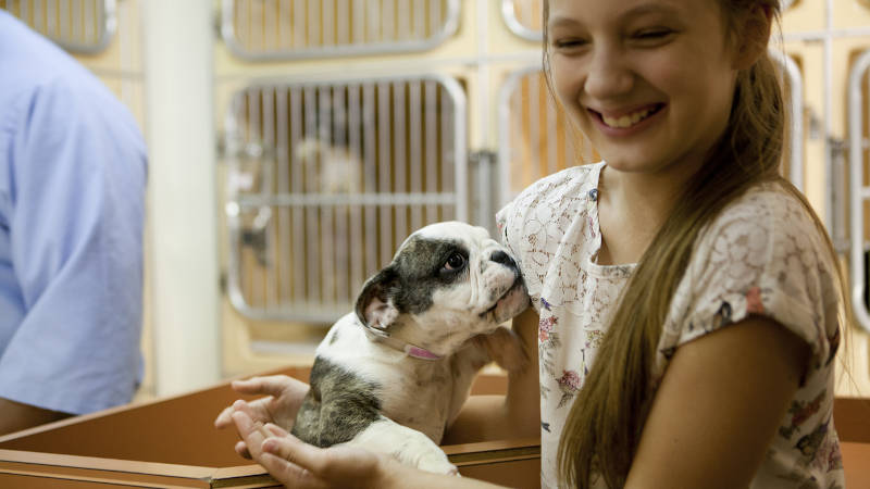 Thinking About Getting a Pet? Here's Why You Should Adopt a Dog