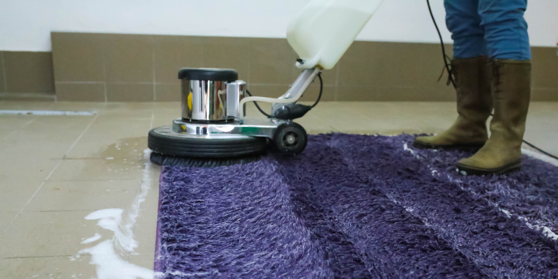 Carpet Cleaning Deals Put Professional Carpet Cleaning Within Reach for Homeowners