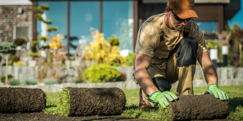 The Top Benefits of Professional Landscaping Services